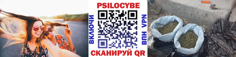 дарк нет телеграм  Поронайск  Галлюциногенные грибы MAGIC MUSHROOMS  наркота 